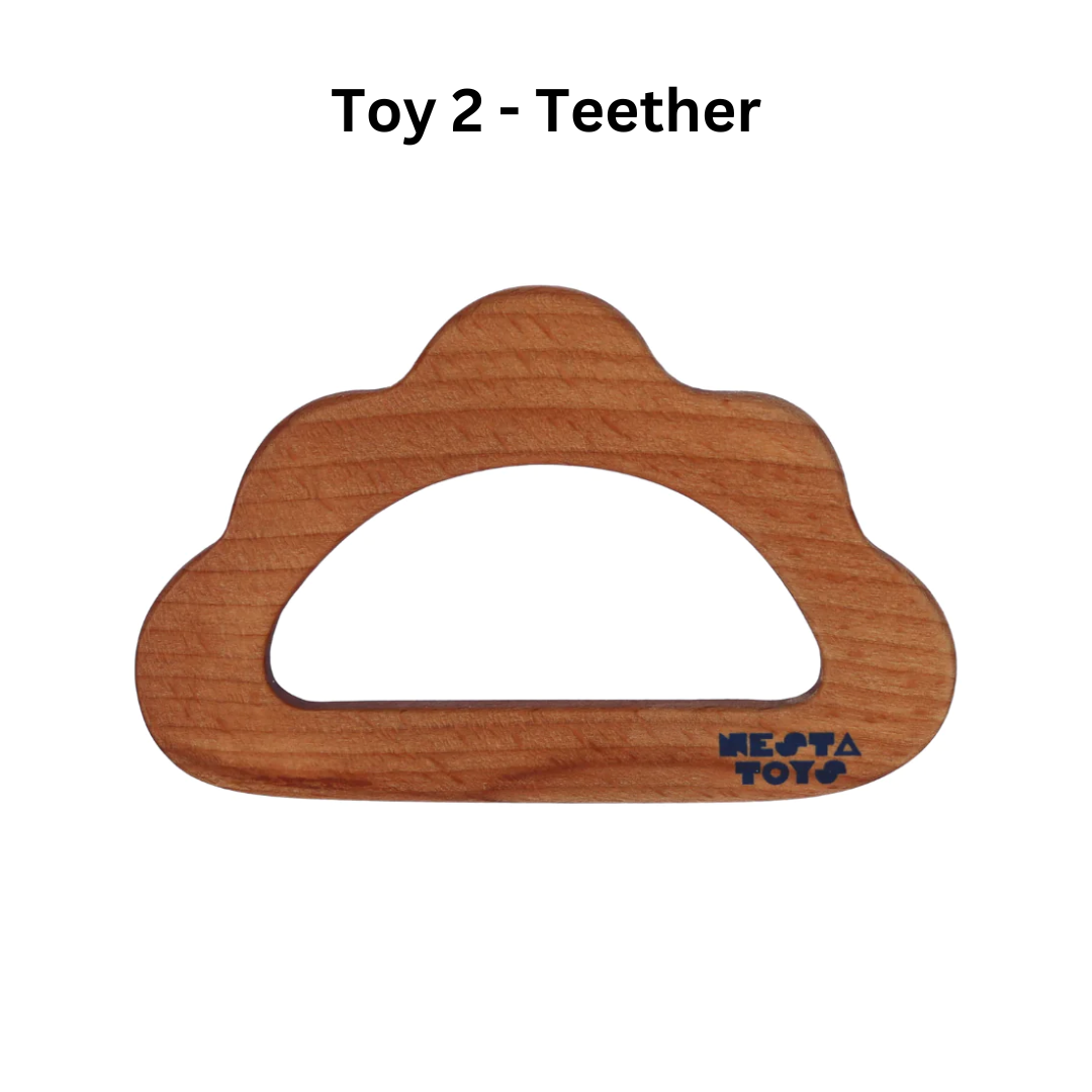 Wooden Dinosaur, Blocks, Egg Shaker (Rattle) & Teether - Combo