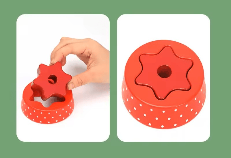 Educational sorting and stacking toy displaying all its components for play