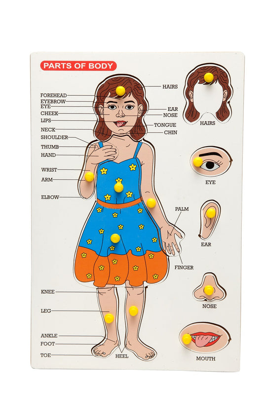 Buy Wooden Picture Educational Board for Kids - Body Part Puzzle - SkilloToys.com