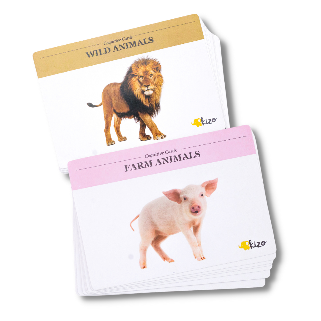 Buy Animals Flashcards Set - SkilloToys.com