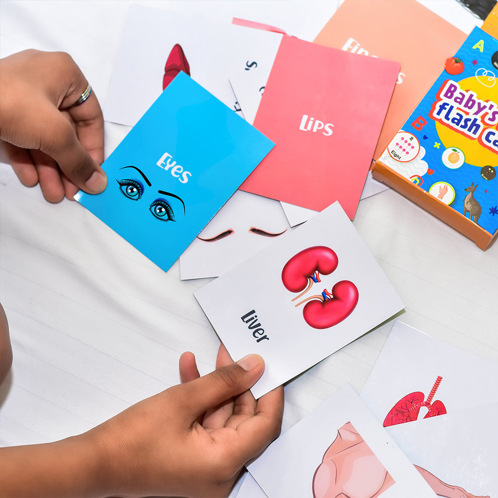 Buy Baby's First Body Parts Flash Cards - SkilloToys.com