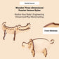 Buy 3D Wooden Animal Puuzle Set For Kids - SkilloToys.com