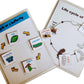 Buy 4 Lifecycle Activity (Bee, Butterfly, Frog and Chicken) - Picture Cards - SkilloToys.com