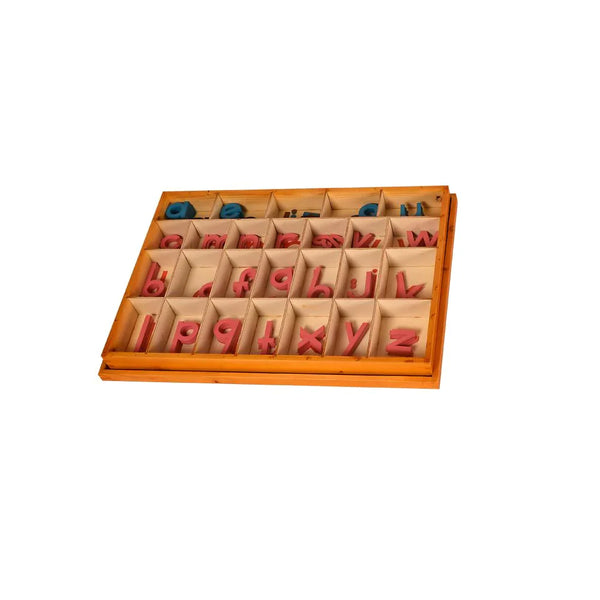 Kidken English Moveable Alphabet in print font: 155 wooden letters with blue vowels and pink consonants in partitioned box