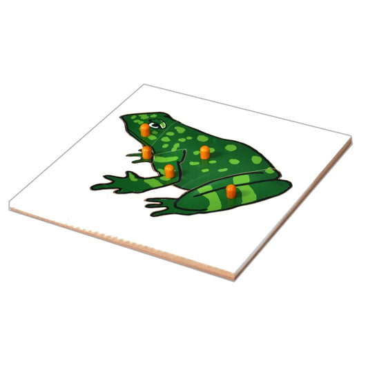 Frog Puzzle Board