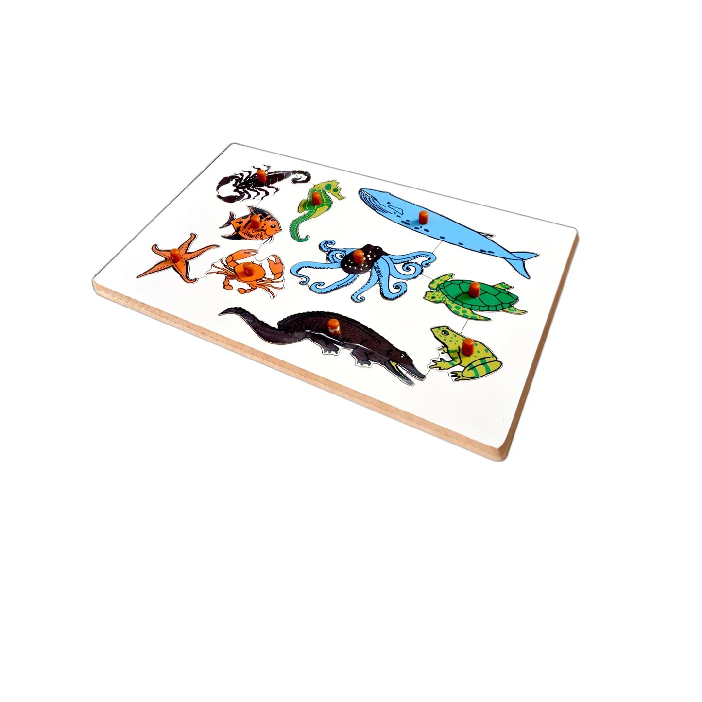 Montessori Insert Board Learning Board - Aqua Animals