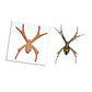 Montessori Wooden Pegged Learning Board - Spider