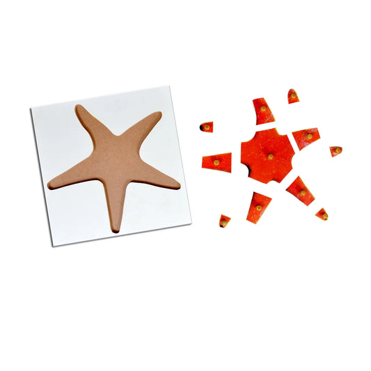 Montessori Wooden Pegged Learning Board - Starfish