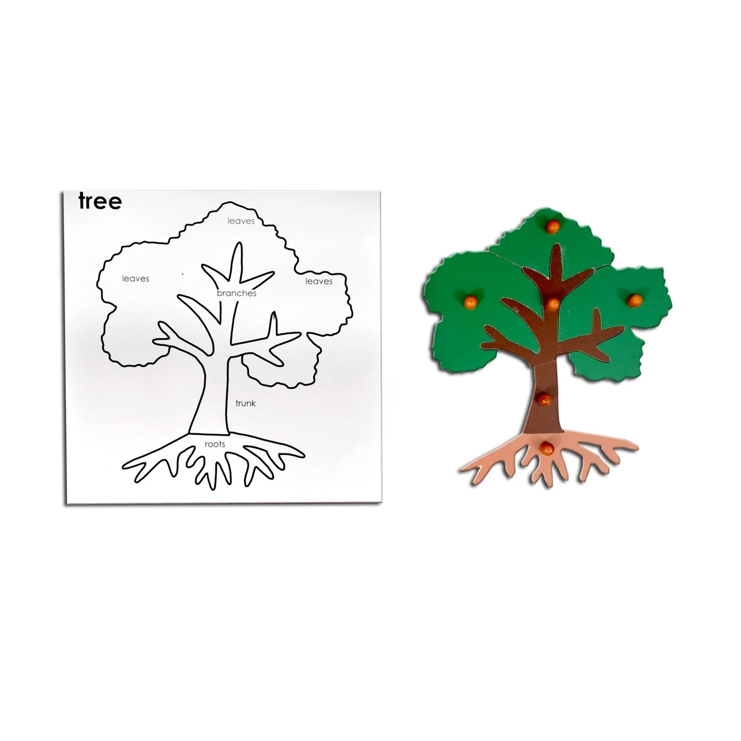 Montessori Wooden Tree Puzzle Board