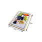 Toucan Bird Jigsaw Puzzle With Colouring Sheet