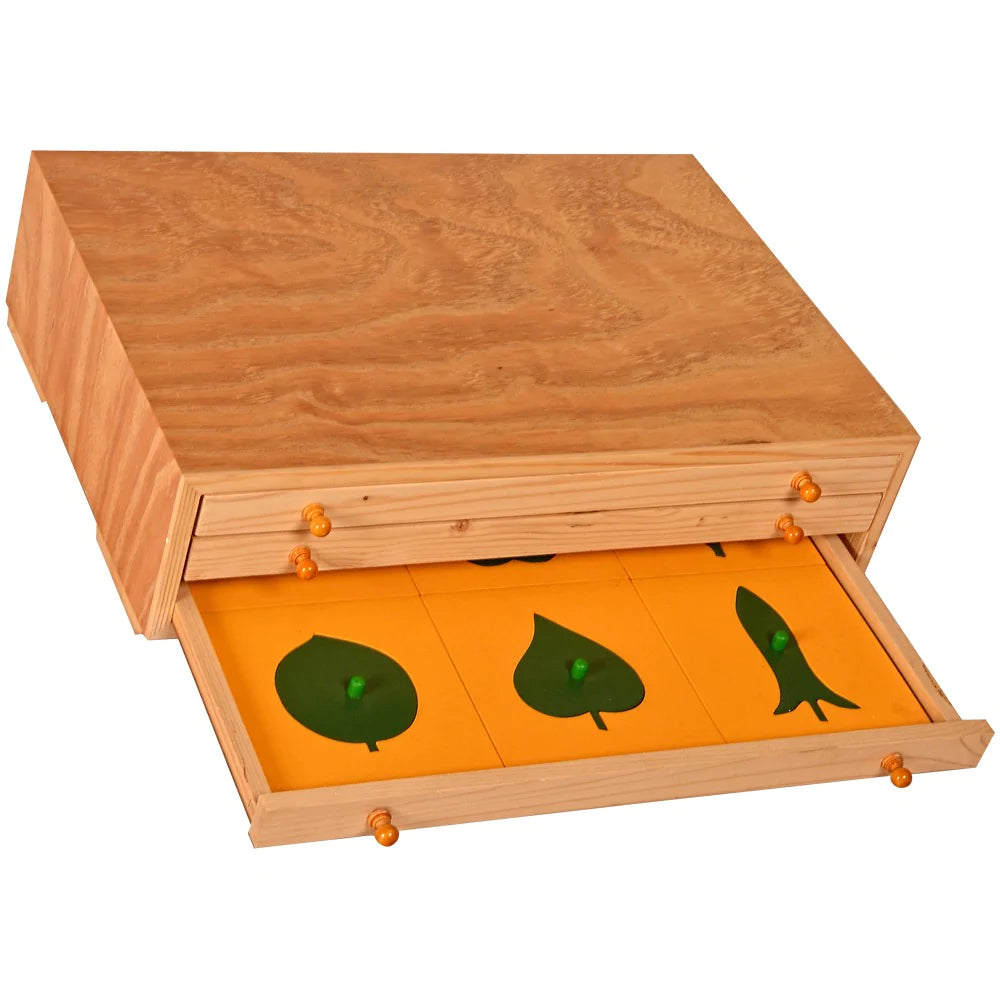 Buy Montessori Botany Cabinet Learning Set - SkilloToys.com