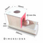 Buy Object Permanence Box - Measurement -  SkilloToys.com