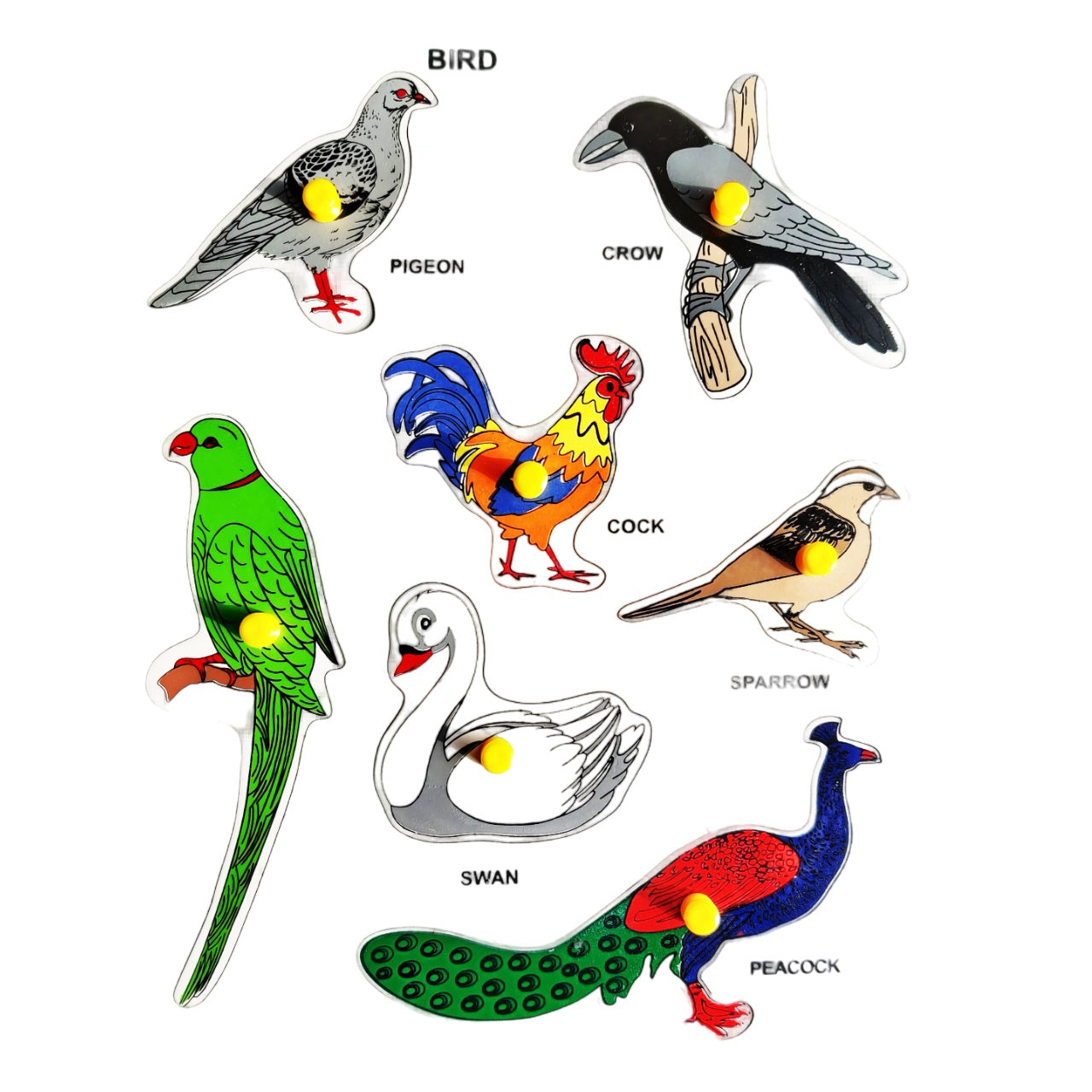 Buy Birds Learning Peg Puzzle  - SkilloToys.com