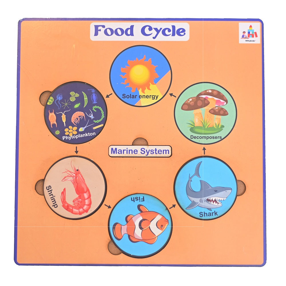 Buy Food Cycle Learning Board - SkilloToys.com