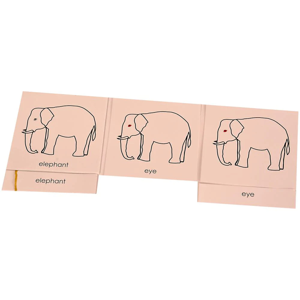 Buy Kidken Montessori Nomenclature Learning Cards - Elephant - SkilloToys.com