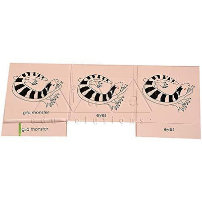 Buy Kidken Montessori Nomenclature Learning Cards - Gila Monster - SkilloToys.com