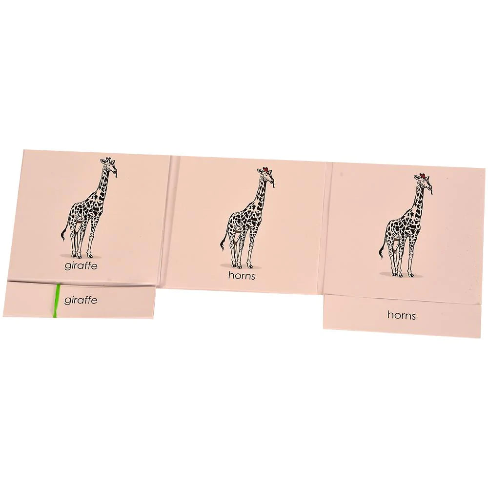 Buy Kidken Montessori Nomenclature Learning Cards - Giraffe - SkilloToys.com
