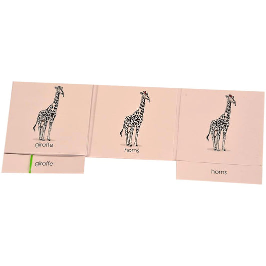 Buy Kidken Montessori Nomenclature Learning Cards - Giraffe - SkilloToys.com