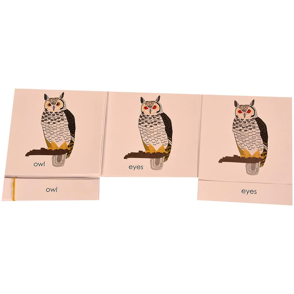 Buy Kidken Montessori Nomenclature Learning Cards - Owl - SkilloToys.com