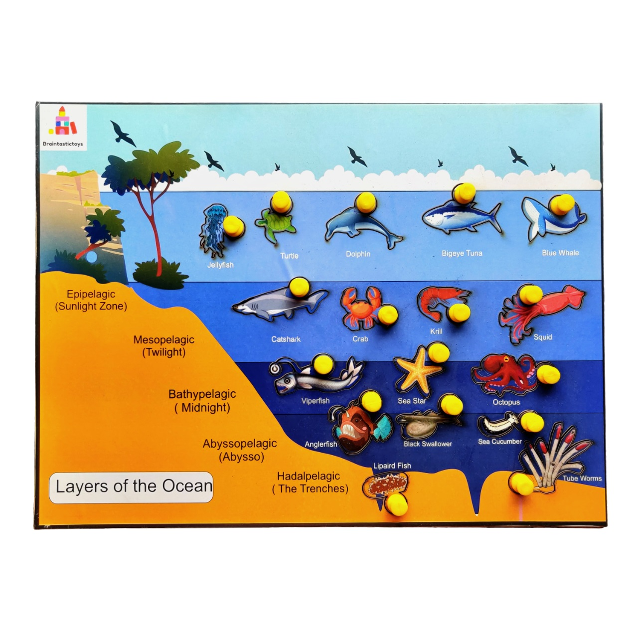 Buy Layers of Ocean Learning Board - SkilloToys.com