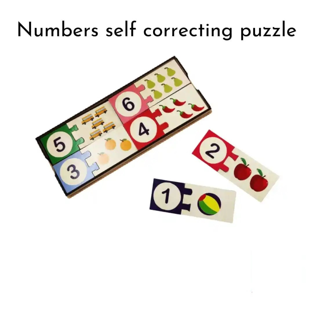Buy Learning Number Self Correcting Puzzle - SkilloToys.com