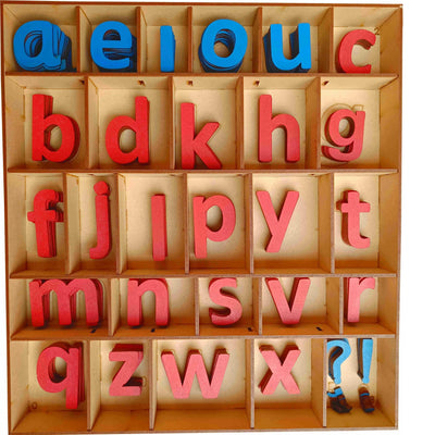 Cryo Craft Montessori Preschool Movable Lower Case Letter Set with Wooden Organizer Box: MDF lowercase letters in red consonants and blue vowels for word building, ages 3+