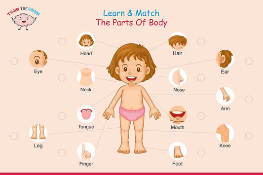 Buy Parts of Body Activity Mat for Kids - SkilloToys.com