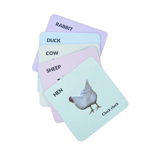 Buy Pet Animal Flashcards for 0-1 Babies - SkilloToys.com