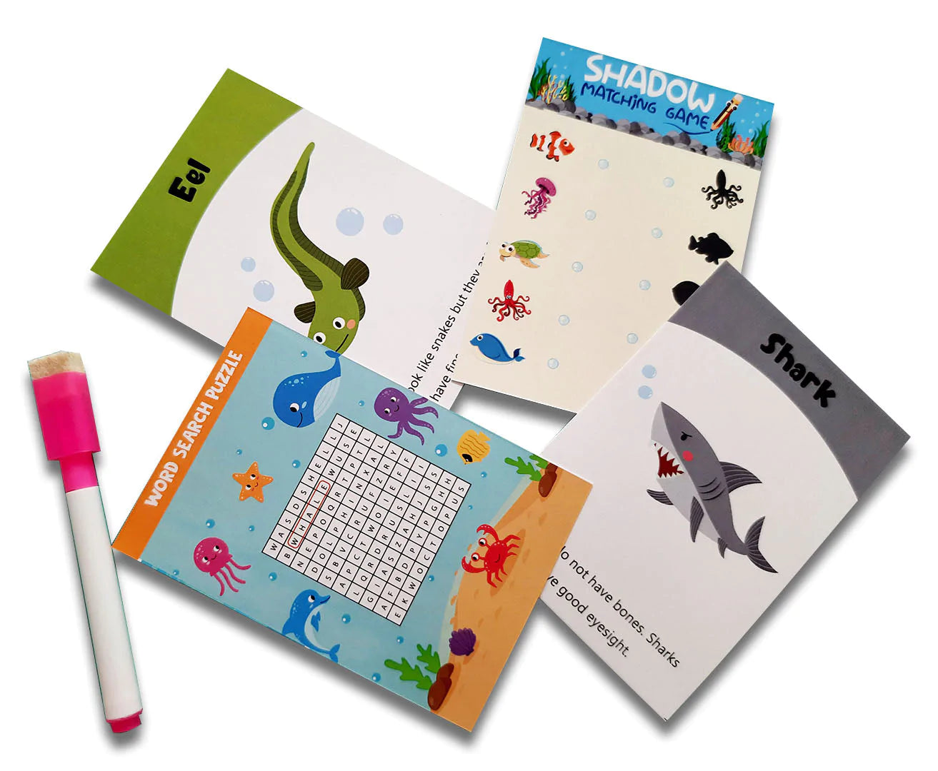 Buy Sea Animals Flashcards - Pack of 16 - SkilloToys.com