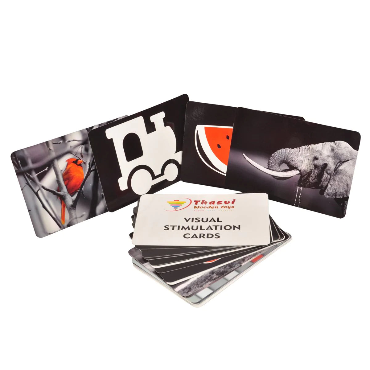 Buy Thasvi Visual Stimulation Card Game - Set 1 - SkilloToys.com