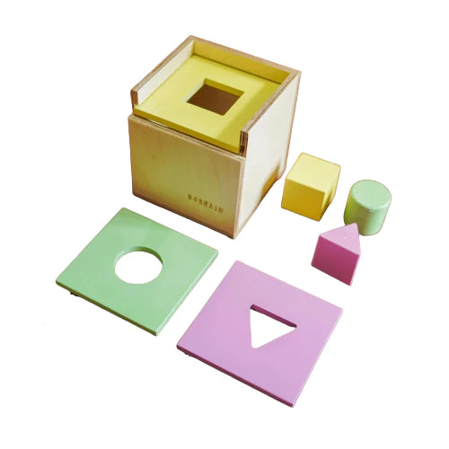 Buy Ultimate Permanence Box with Shape Sorters - SkilloToys.com