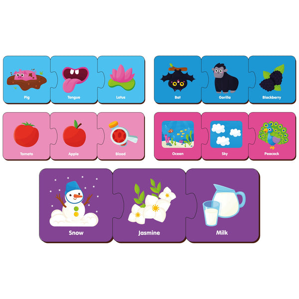Buy Wooden Color Matching Puzzle Series 2 - SkilloToys.com