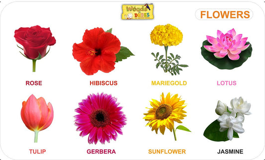 Buy Wooden Flowers Learning Board - SkilloToys.com