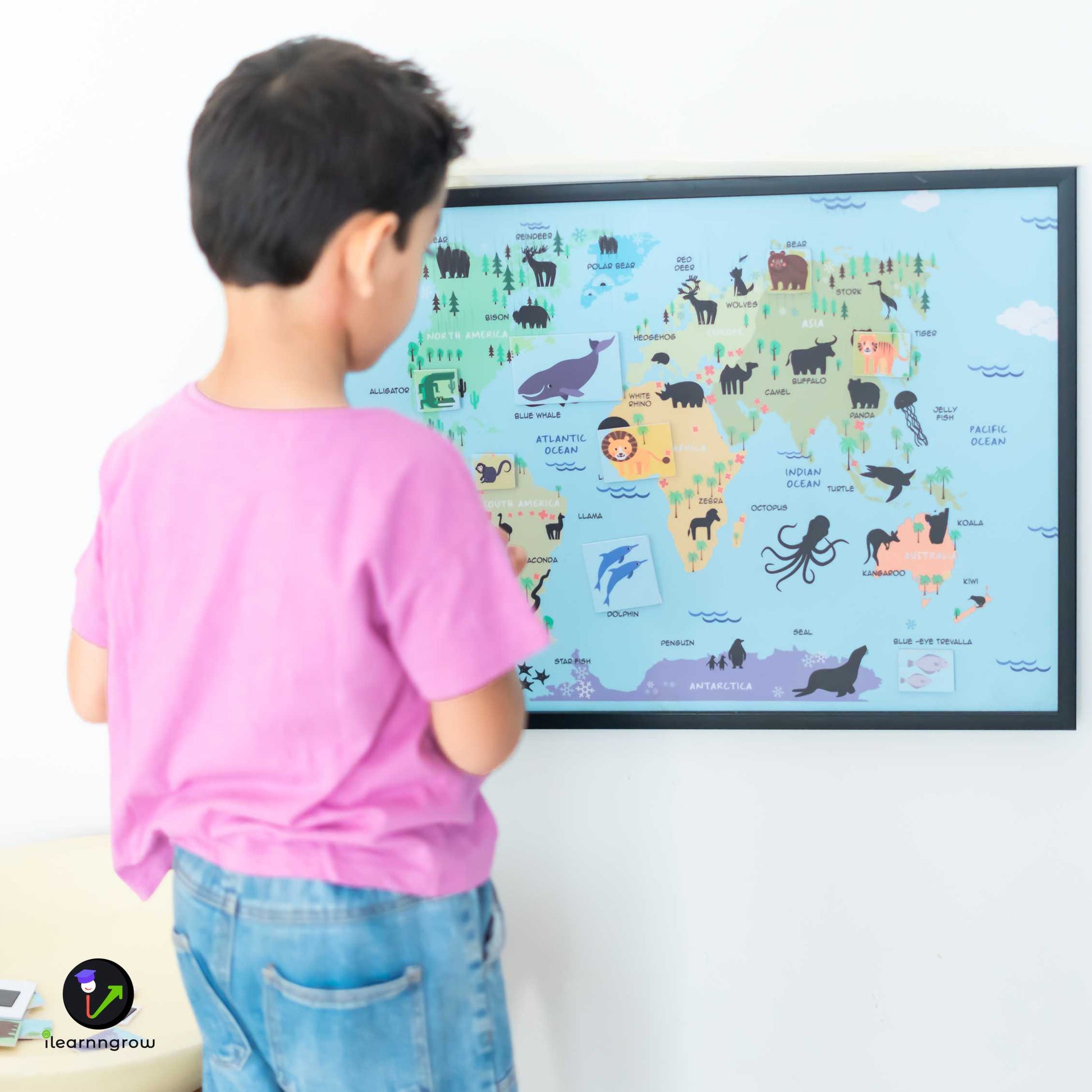 Buy Animals Found in the Continent Magnetic Wooden Board - SkilloToys.com