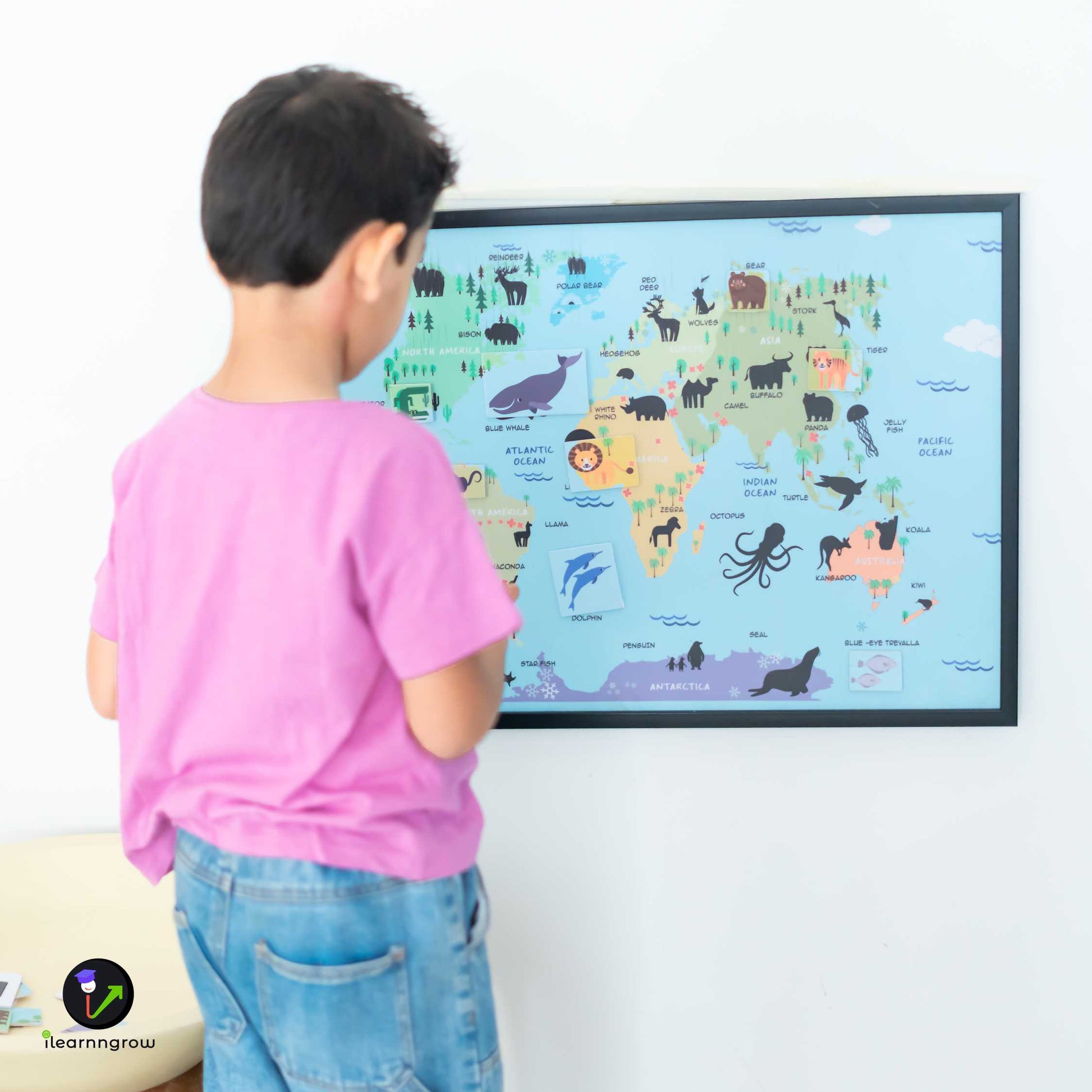 Buy Animals Found in the Continent Magnetic Wooden Board - SkilloToys.com