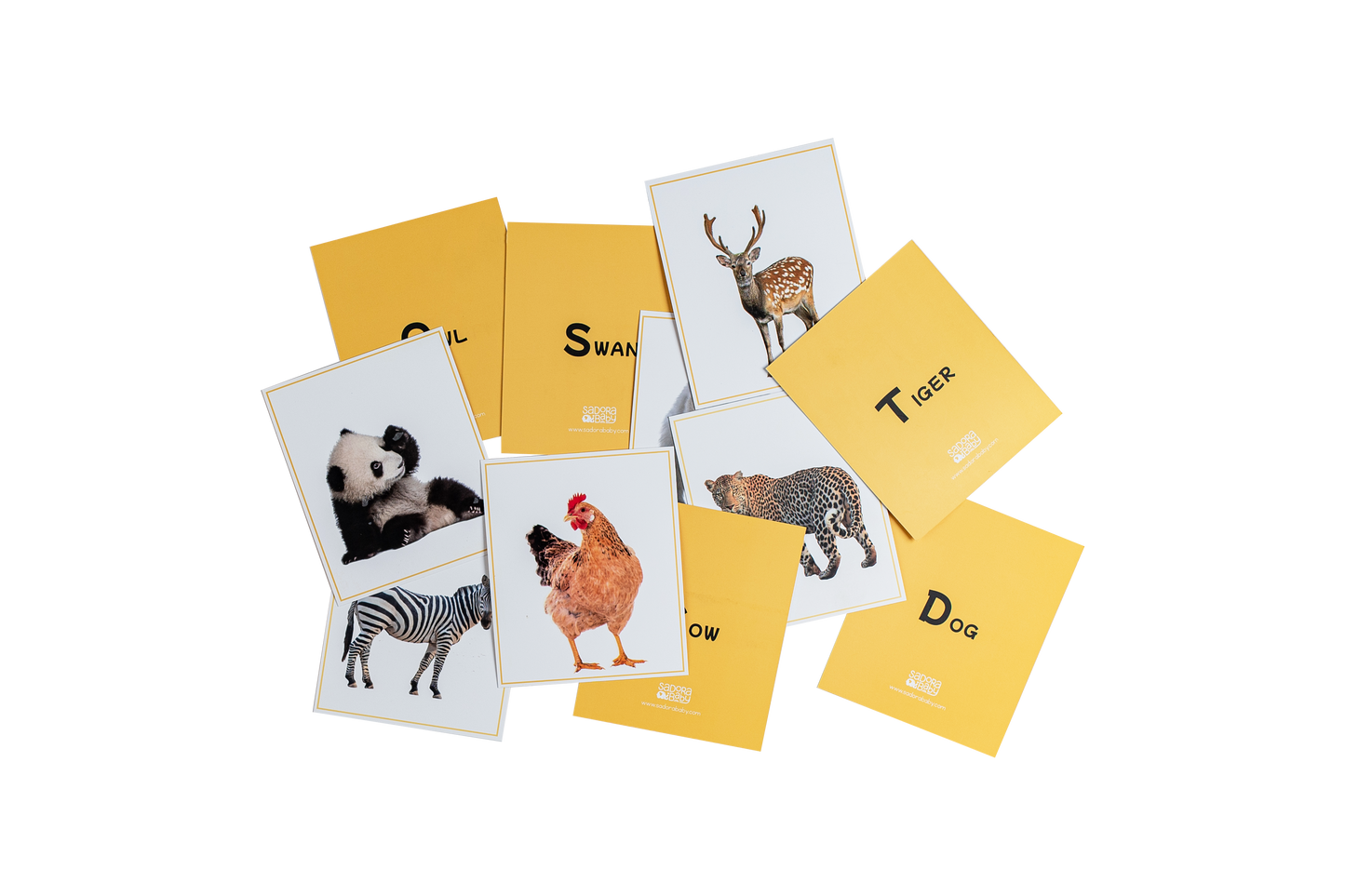 Buy Multi Play Use Wild World Animal Flaskcards Online - SkilloToys.com