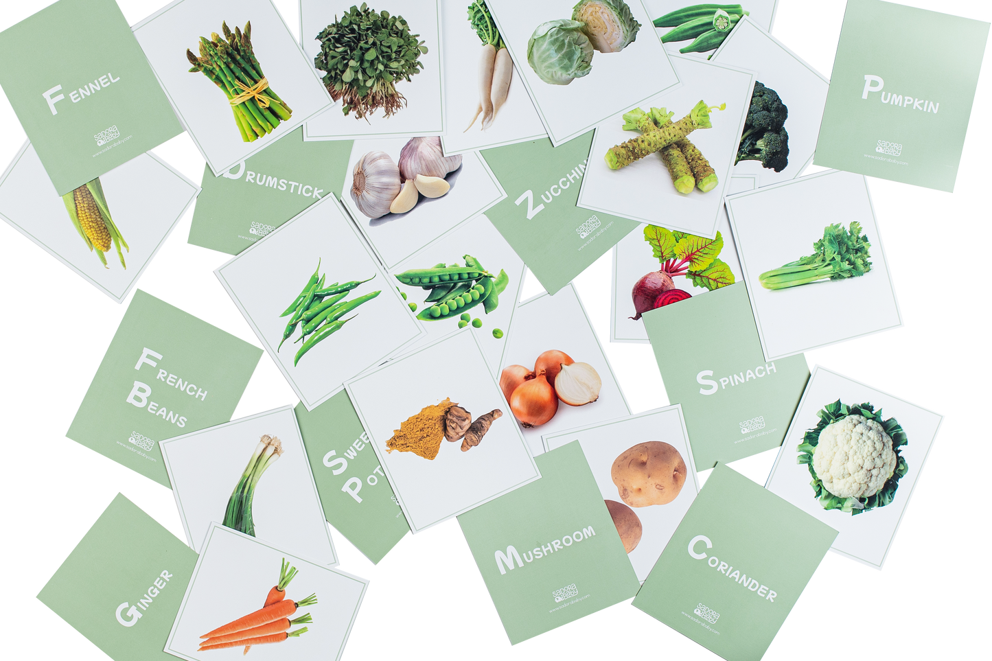 Buy Vegetables Veggie Vision Flashcards Online - SkilloToys.com