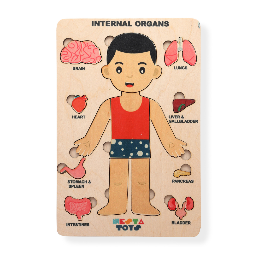 Buy Human Body Internal Organs Wooden Puzzle - SkilloToys.com