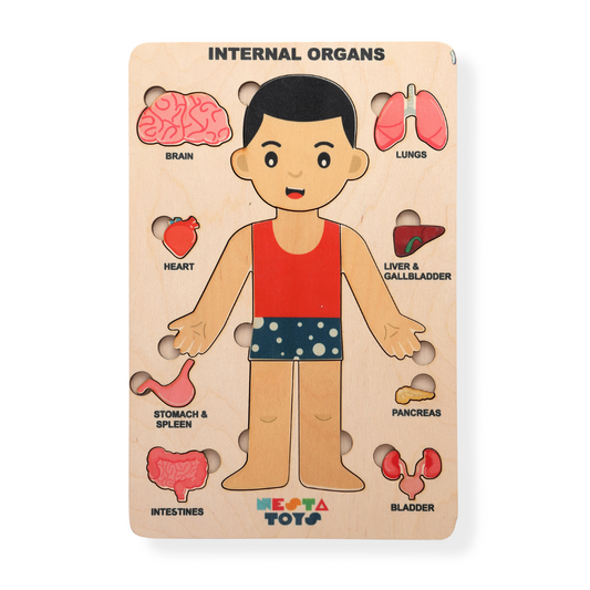 Buy Human Body Internal Organs Wooden Puzzle - SkilloToys.com