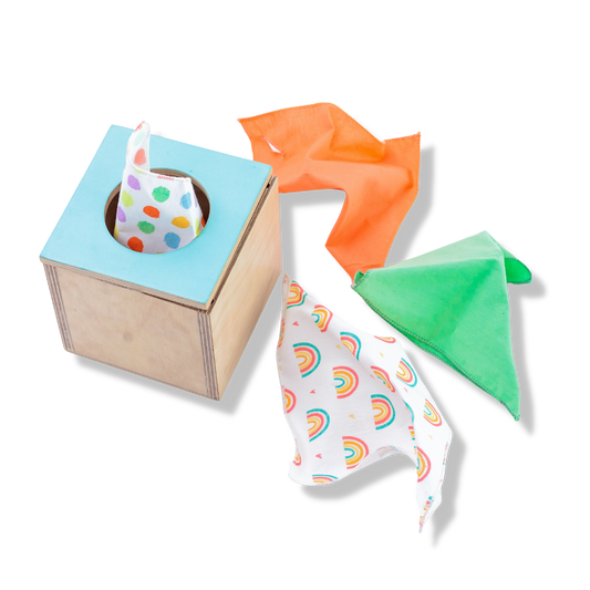 Buy Tissue Wooden Toy Box - SkilloToys.com