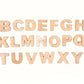 Buy Wooden Alphabets Uppercase - Small - SkilloToys.com